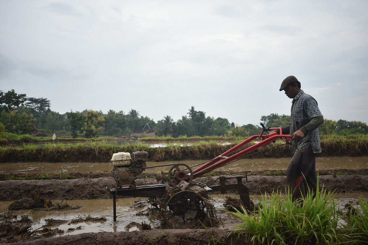 From Our Fields to Your Table